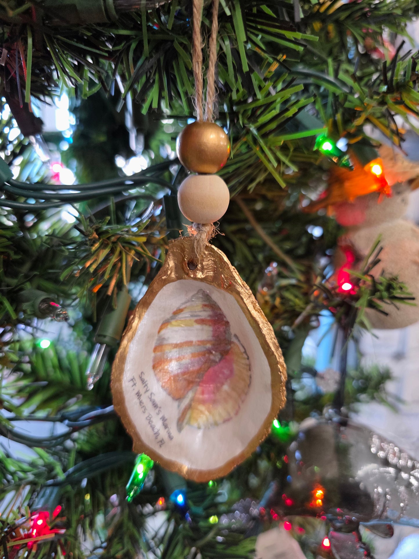 Sea Life Oyster Shells