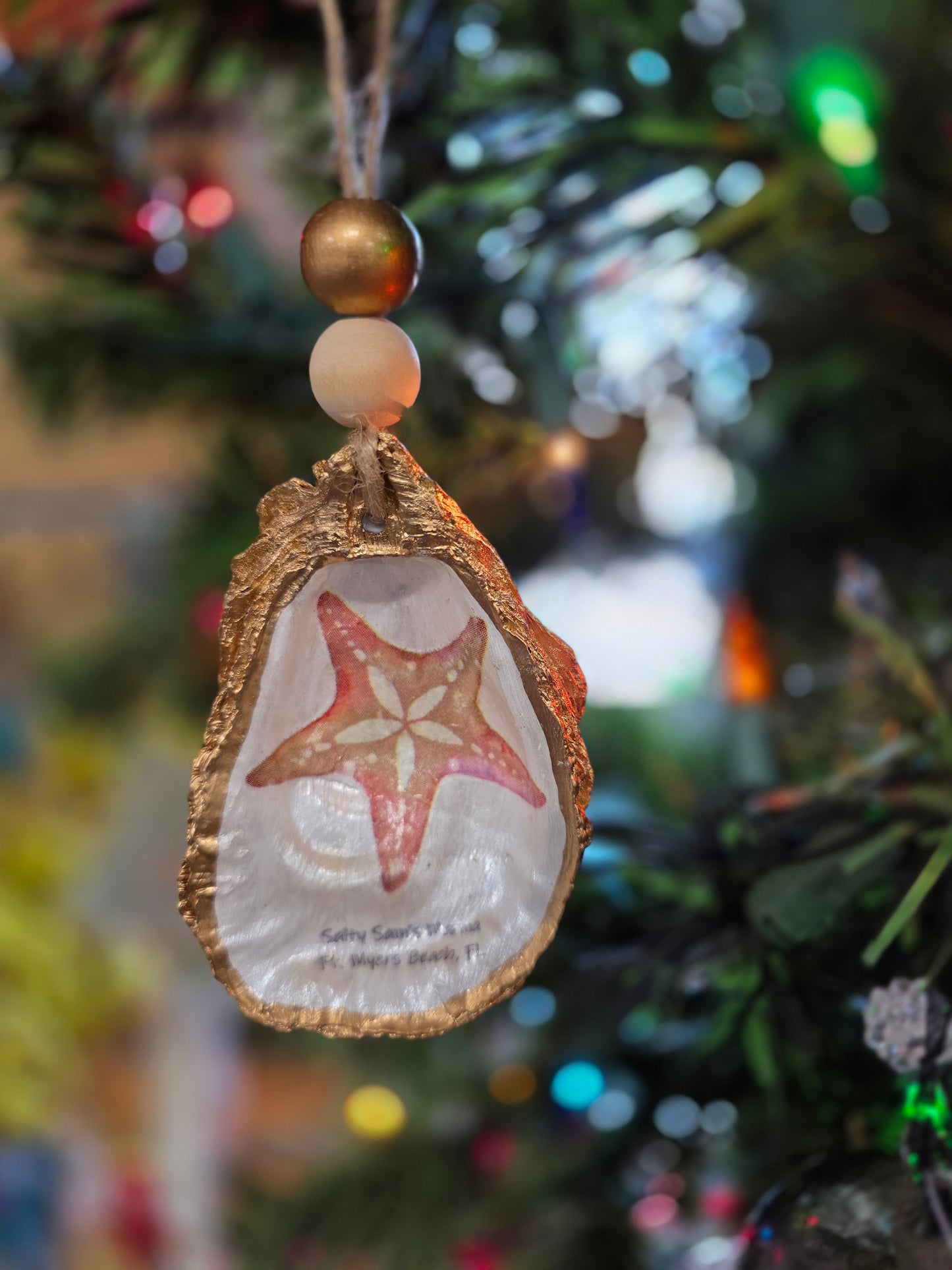 Sea Life Oyster Shells