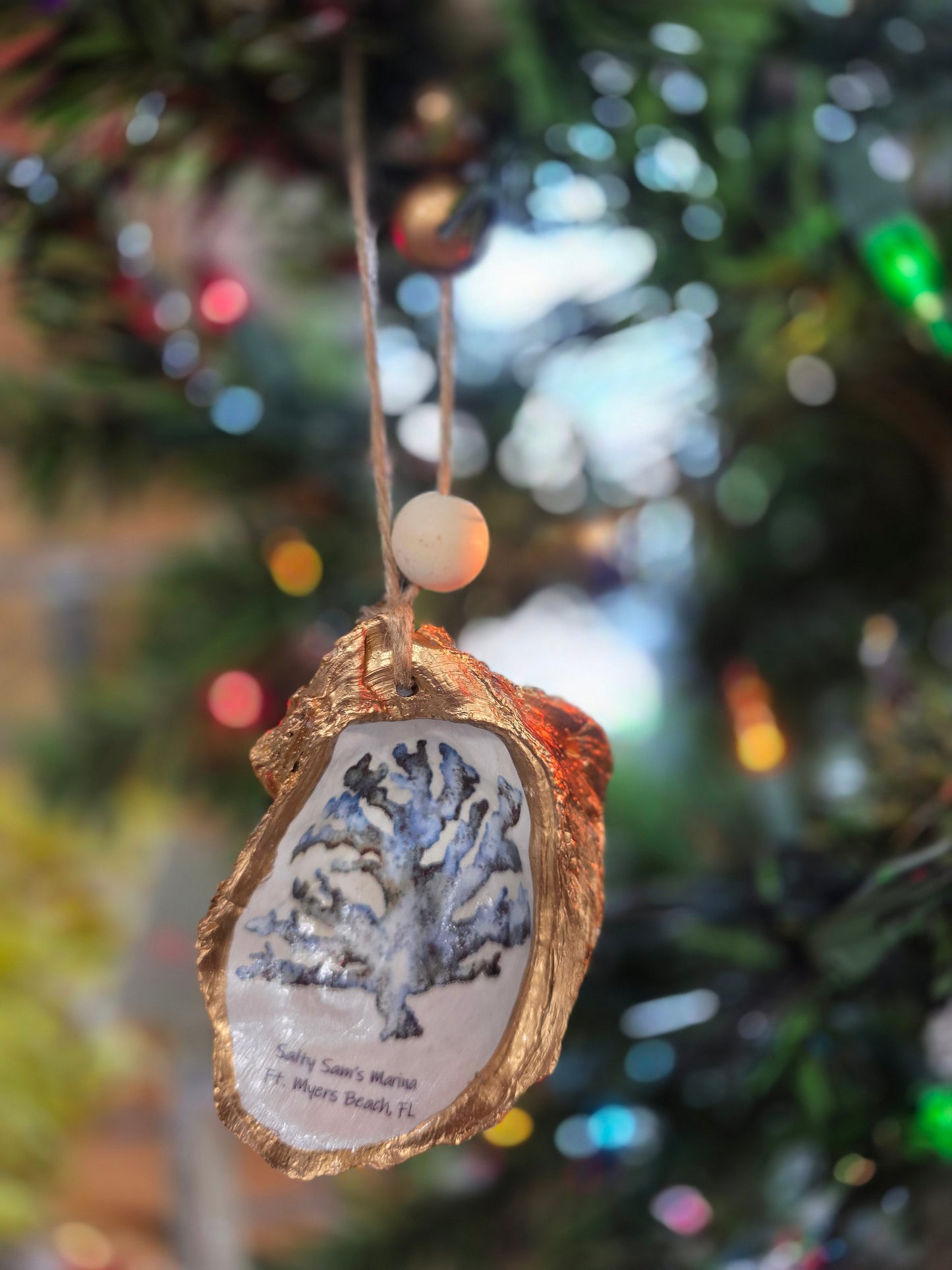 Sea Life Oyster Shells