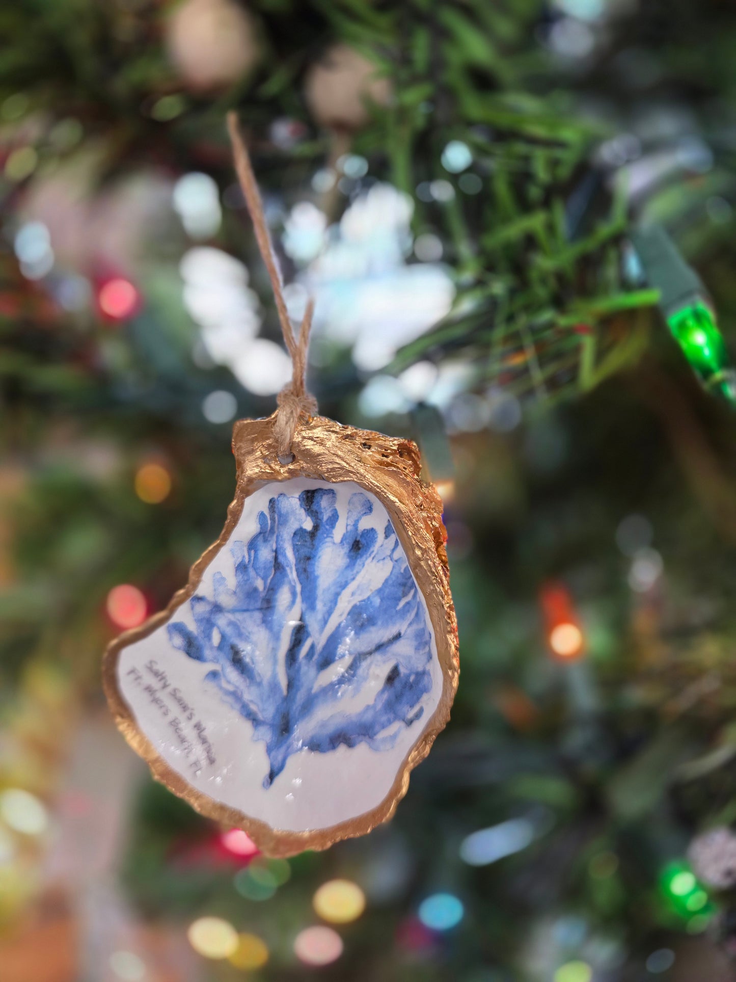 Sea Life Oyster Shells