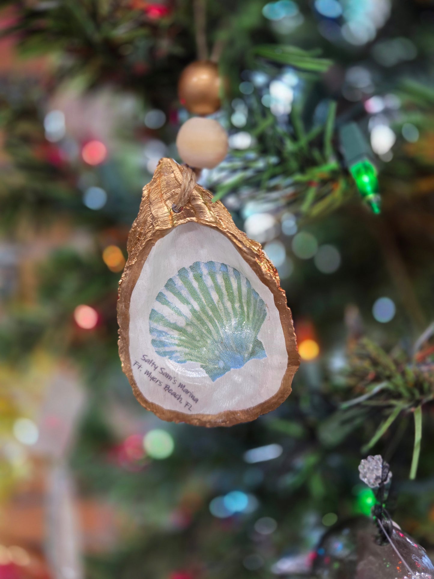 Sea Life Oyster Shells