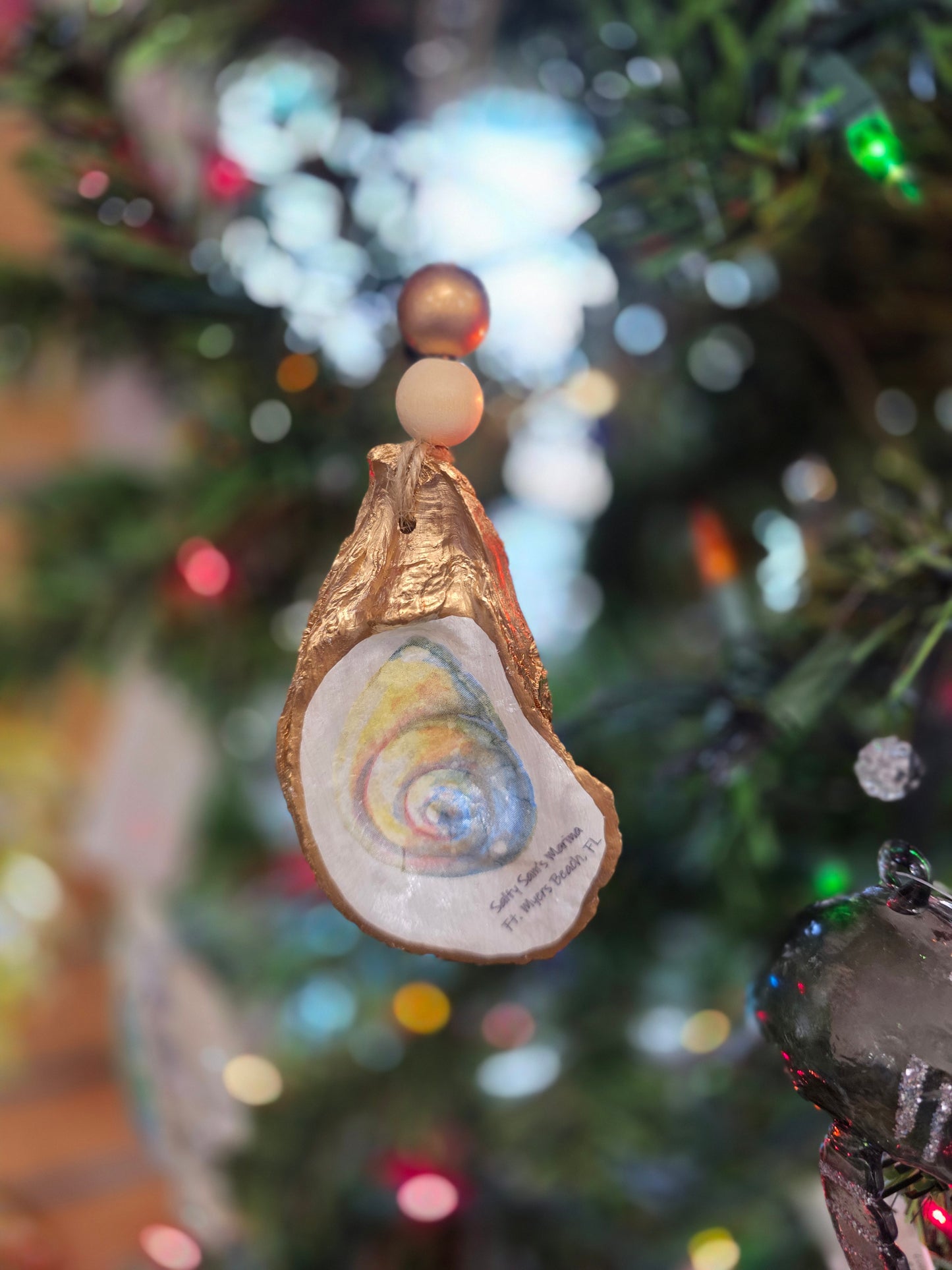 Sea Life Oyster Shells