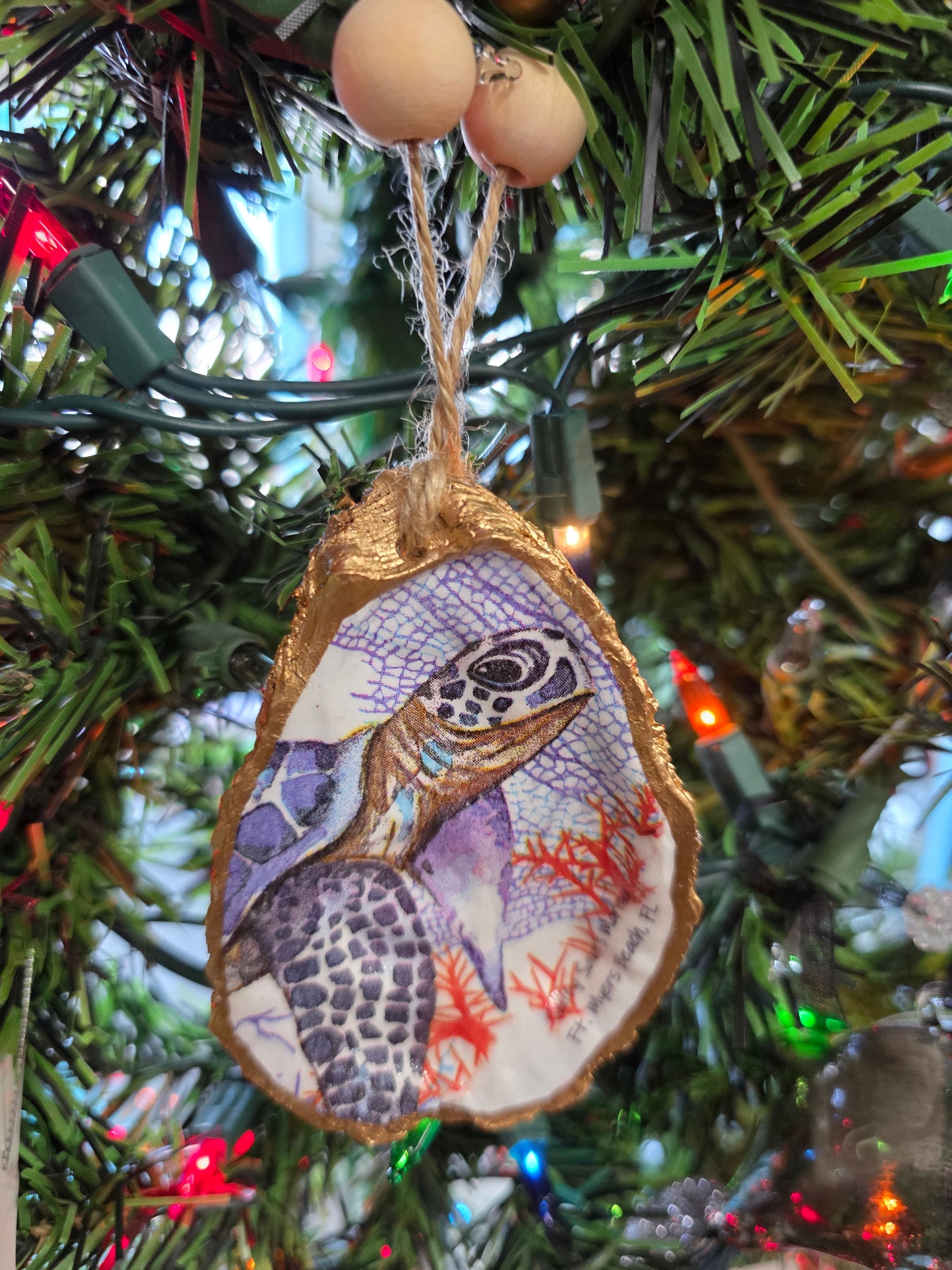 Sea Life Oyster Shells