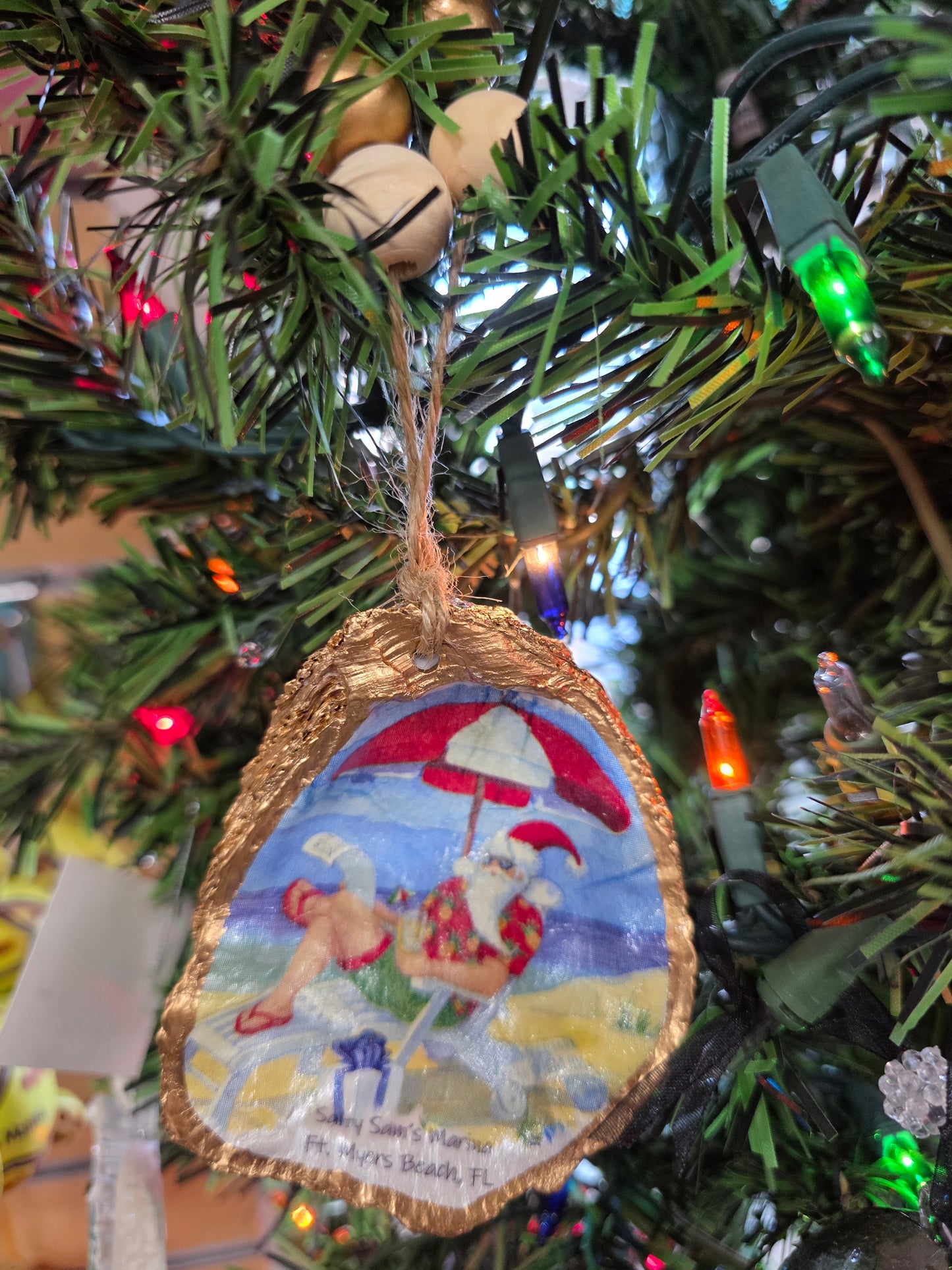 Sea Life Oyster Shells