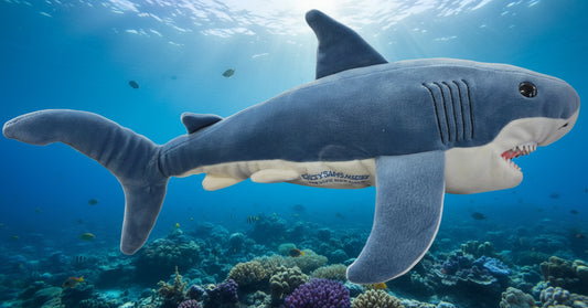 Med. Great white shark