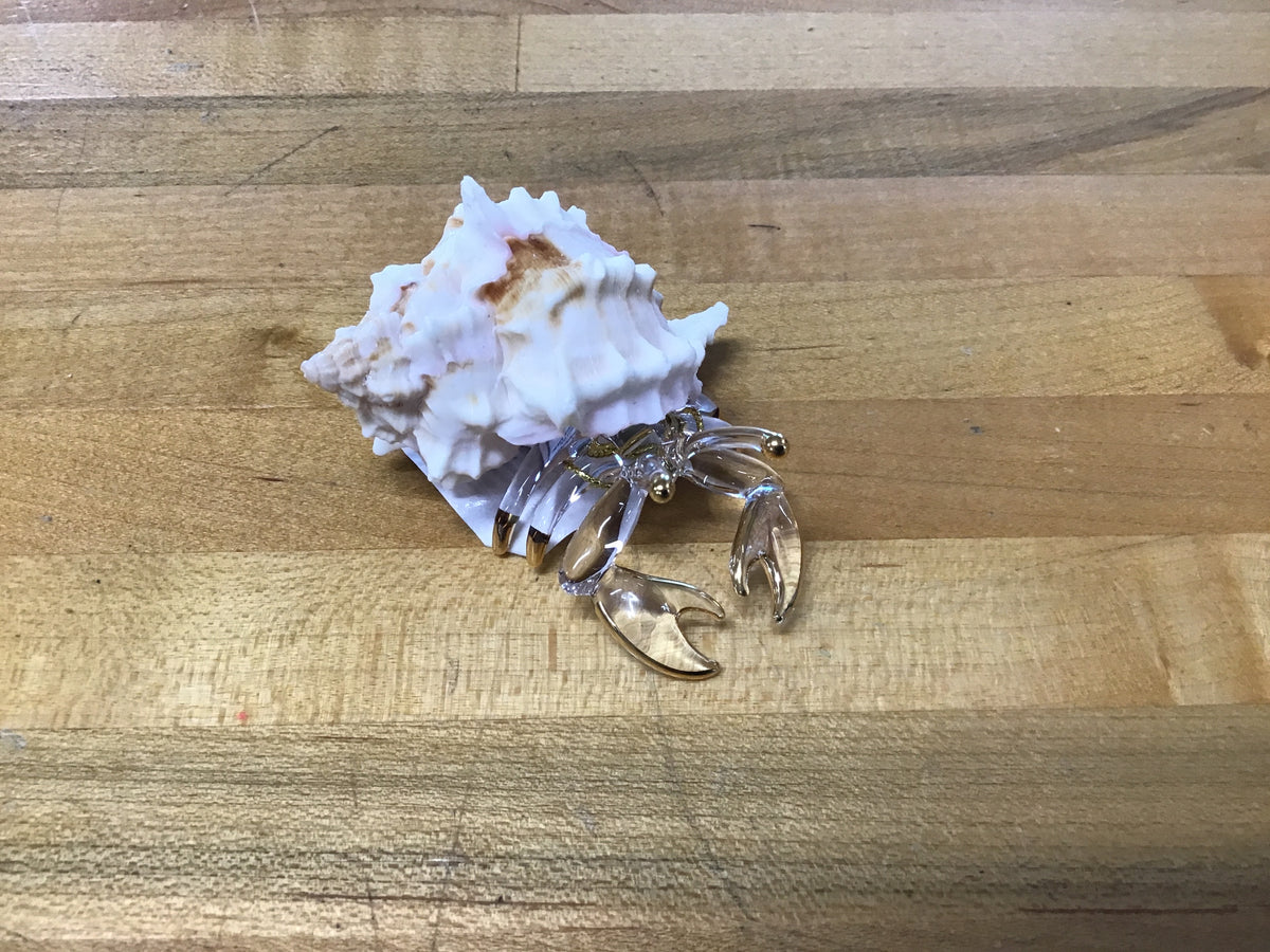 Hermit Crab Glass