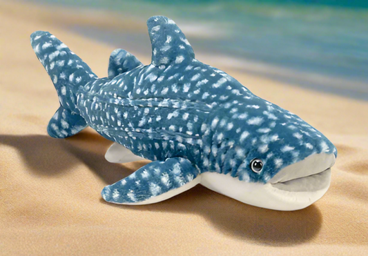 Whale Shark