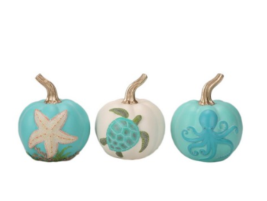 3A COASTAL PUMPKINS