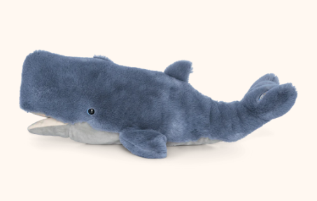 Whale