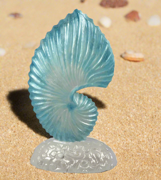 CARVED SHELL ON BASE