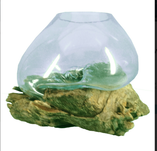 12" Candy Bowl on Driftwood