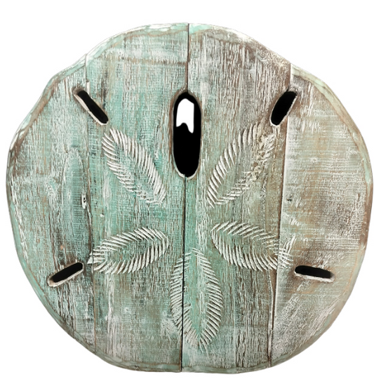 16" Sand Dollar