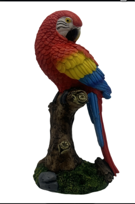 6-1.2" Parrot