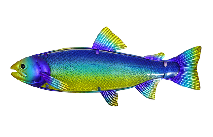 17-1/2" Fish