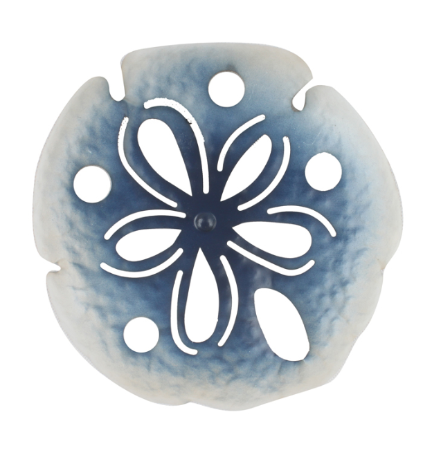 Sand Dollar Wall Art
