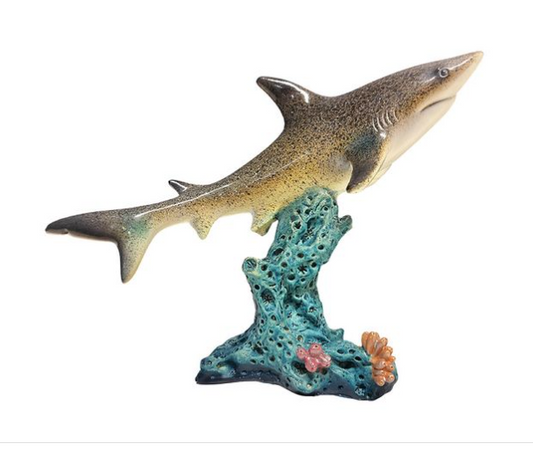 8-1/2" SOLO SHARK IN CORAL