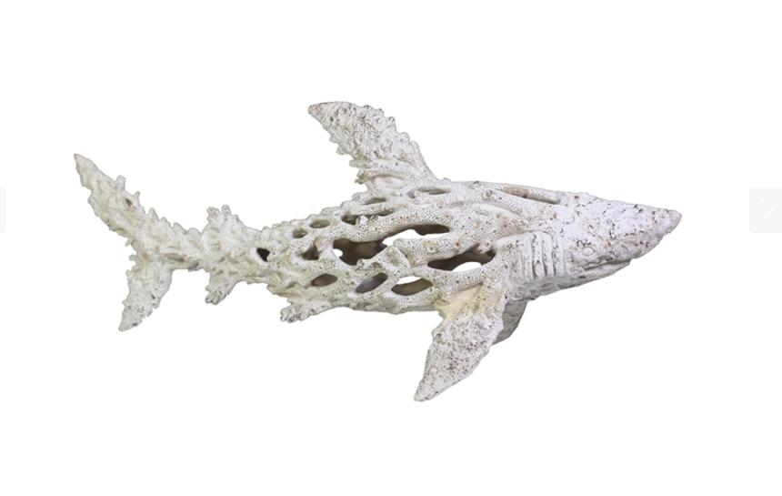 19-3/4" FOSSILIZED SHARK