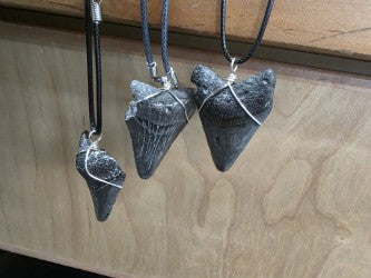 Meg Tooth Necklace