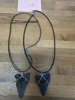 Meg Tooth Necklace