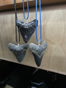 Meg Tooth Necklace