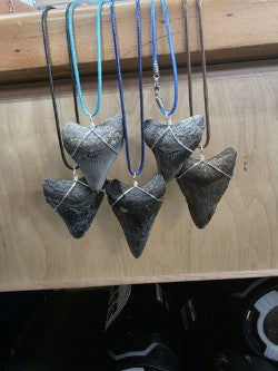 Meg Tooth Necklace