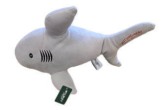 Squishy Shark