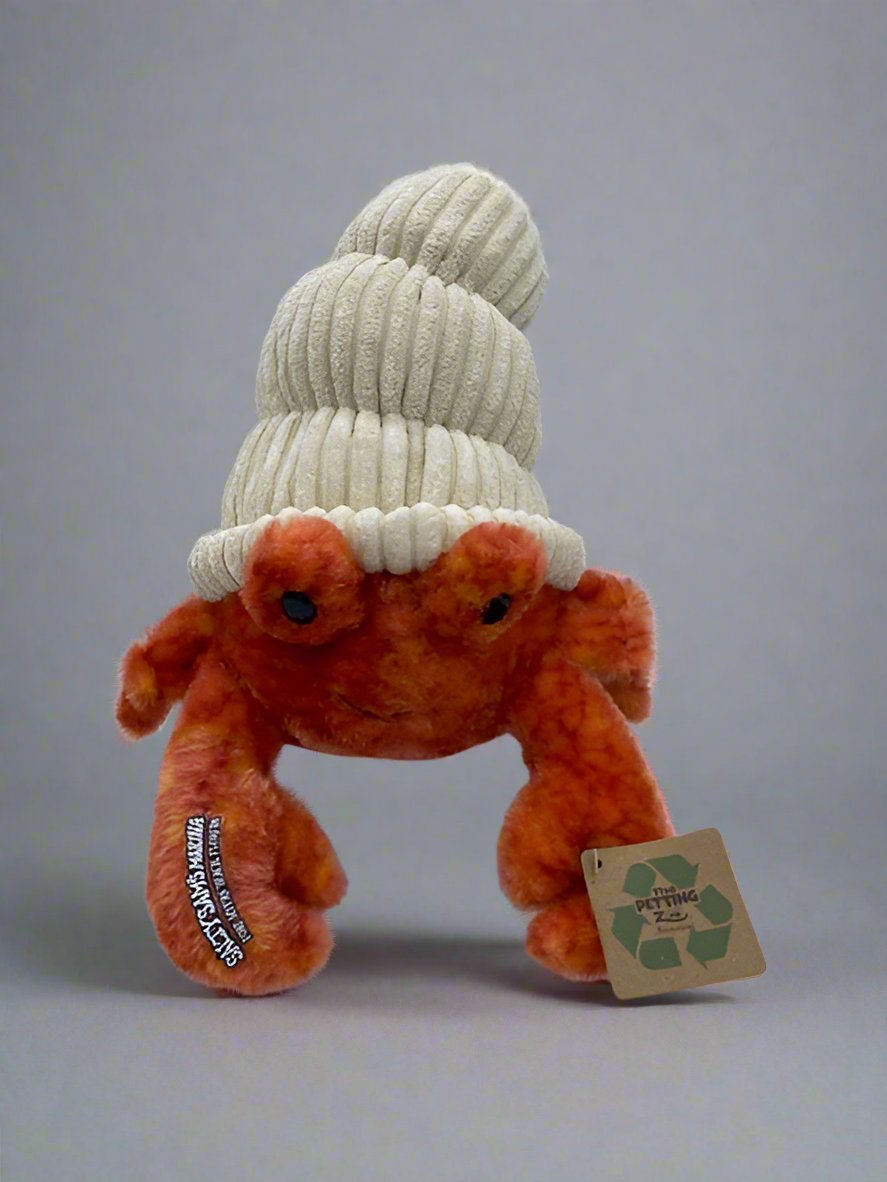 Hermit Crab